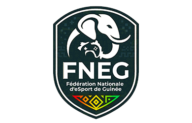 Fédération Nationale de E-sports de Guinée